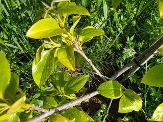 이원복님의 자유주제 · 사진전 작성글 사진