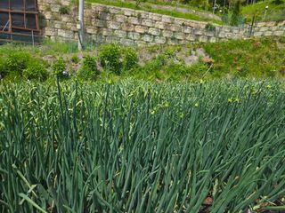 동동이님의 자유주제 · 자유게시판 작성글 사진