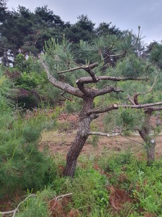 알 수 없음님의 자유주제 · 사진전 작성글 사진