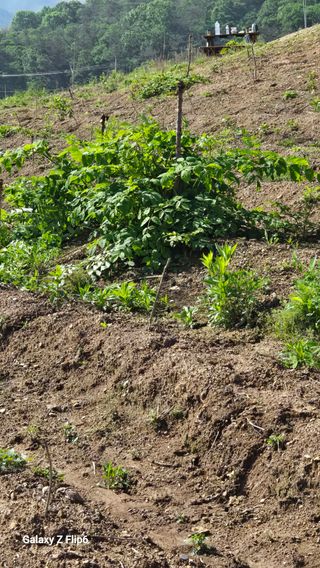 박현주님의 자유주제 · 자유게시판 작성글 사진