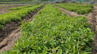 조병대님의 자유주제 · 자유게시판 작성글 사진