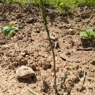 오영도님의 자유주제 · 자유게시판 작성글 사진