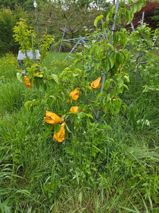 이원복님의 자유주제 · 사진전 작성글 사진