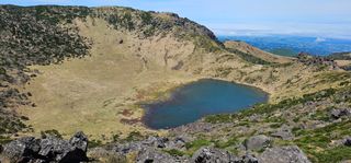 서귀포달코롬감귤농원님의 자유주제 · 사진전 작성글 사진