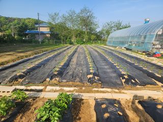 김영희님의 자유주제 · 자유게시판 작성글 사진