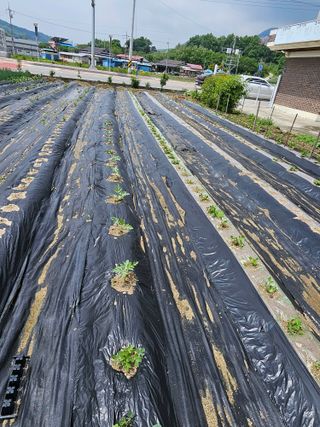 연승흠님의 자유주제 · 자유게시판 작성글 사진