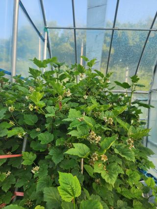 김영희님의 자유주제 · 자유게시판 작성글 사진