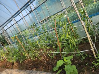 김영희님의 자유주제 · 자유게시판 작성글 사진