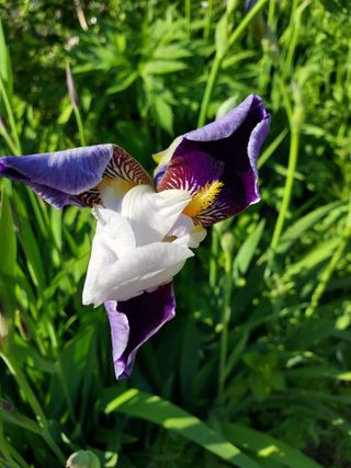 태일농산이정수님의 자유주제 · 자유게시판 작성글 사진