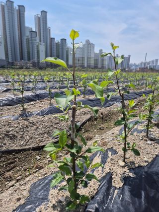 우리농원님의 자유주제 · 자유게시판 작성글 사진