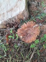 팜모닝 자유주제·자유게시판 게시글 이미지