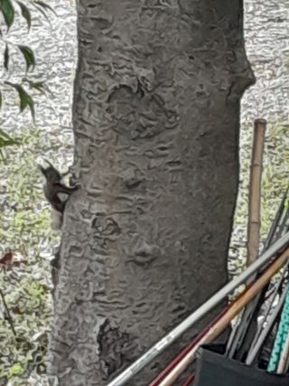 김민수산에서농사중님의 자유주제 · 자유게시판 작성글 사진