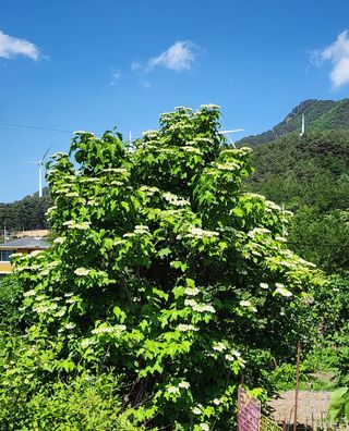 고추건조기부품판매님의 자유주제 · 자유게시판 작성글 사진