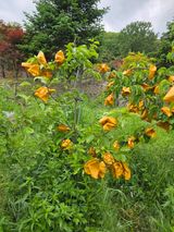 팜모닝 자유주제·사진전 게시글 이미지