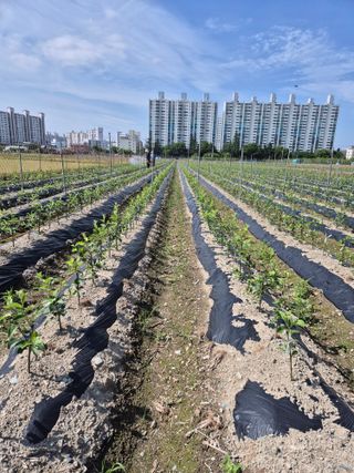 우리농원님의 자유주제 · 자유게시판 작성글 사진