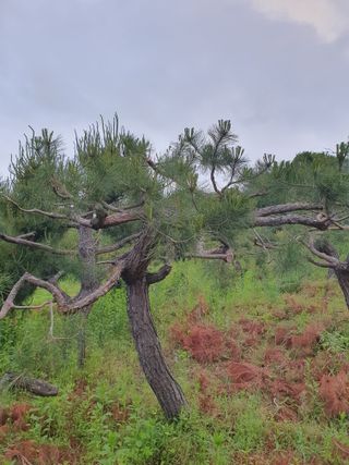 알 수 없음님의 자유주제 · 사진전 작성글 사진