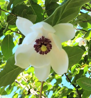 고추건조기부품판매님의 자유주제 · 자유게시판 작성글 사진