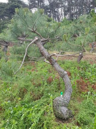 알 수 없음님의 자유주제 · 사진전 작성글 사진