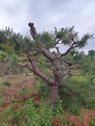 알 수 없음님의 자유주제 · 사진전 작성글 사진