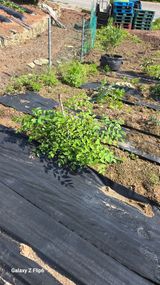 팜모닝 자유주제·자유게시판 게시글 이미지