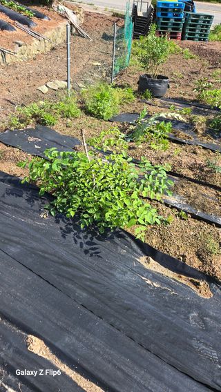 박현주님의 자유주제 · 자유게시판 작성글 사진
