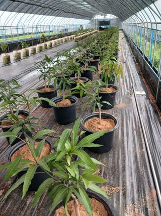 프리맨농부님의 자유주제 · 자유게시판 작성글 사진