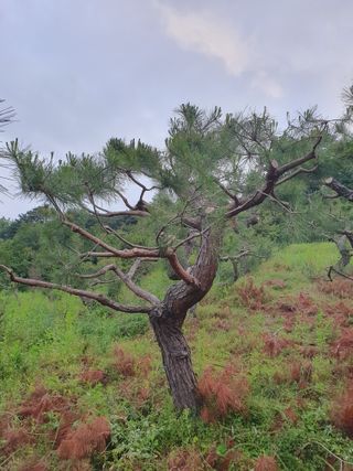 알 수 없음님의 자유주제 · 사진전 작성글 사진