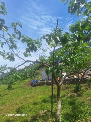 이홍석님의 자유주제 · 자유게시판 작성글 사진