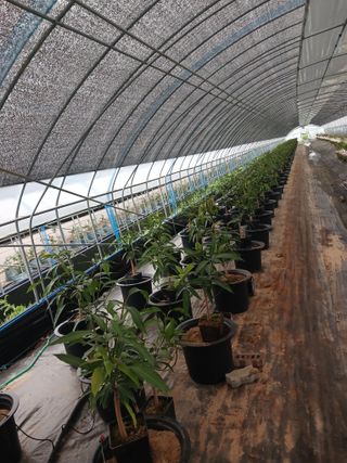 프리맨농부님의 자유주제 · 자유게시판 작성글 사진