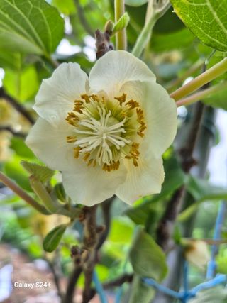 옥수수20145님의 자유주제 · 자유게시판 작성글 사진