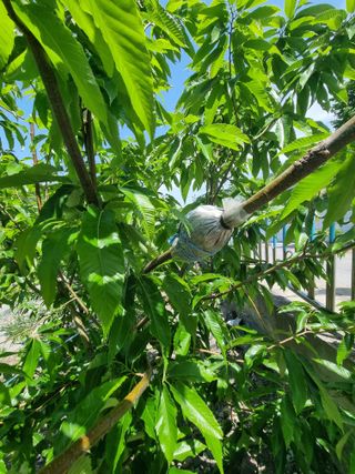 김용대님의 자유주제 · 자유게시판 작성글 사진