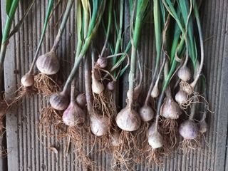 박린님의 자유주제 · 자유게시판 작성글 사진