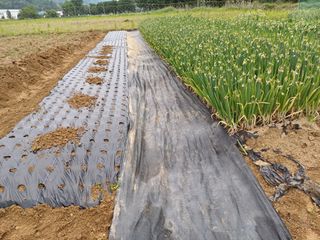 남궁봉님의 자유주제 · 자유게시판 작성글 사진