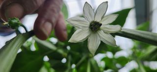 박종혁 님의 자유주제 · 자유게시판 작성글 사진