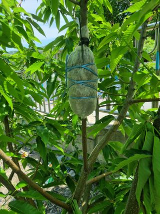 김용대님의 자유주제 · 자유게시판 작성글 사진