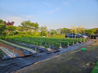 홍승대님의 자유주제 · 자유게시판 작성글 사진