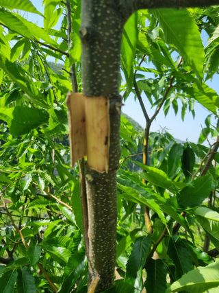 김용대님의 자유주제 · 자유게시판 작성글 사진