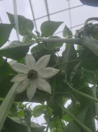 박종혁 님의 자유주제 · 자유게시판 작성글 사진