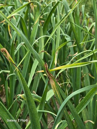 명희사랑합니다님의 자유주제 · 자유게시판 작성글 사진