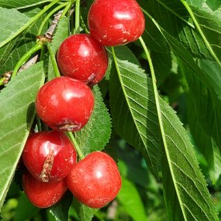 복주농장님의 자유주제 · 자유게시판 작성글 사진