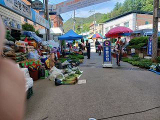 알 수 없음님의 자유주제 · 자유게시판 작성글 사진