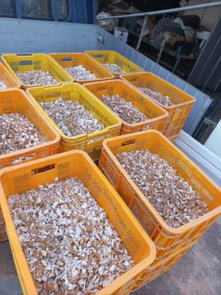 박린님의 자유주제 · 자유게시판 작성글 사진