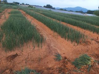 박린님의 자유주제 · 자유게시판 작성글 사진