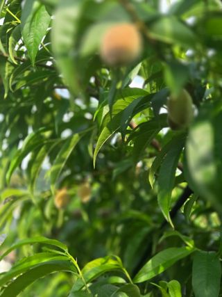 자연인님의 자유주제 · 자유게시판 작성글 사진