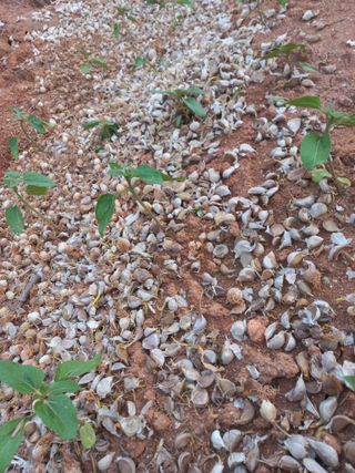 박린님의 자유주제 · 자유게시판 작성글 사진