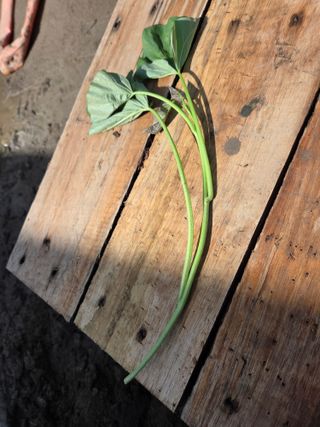 박명광님의 자유주제 · 자유게시판 작성글 사진