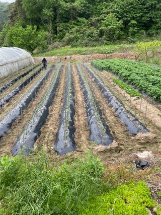 오디님의 자유주제 · 자유게시판 작성글 사진