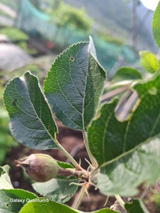 이세순님의 자유주제 · 자유게시판 작성글 사진