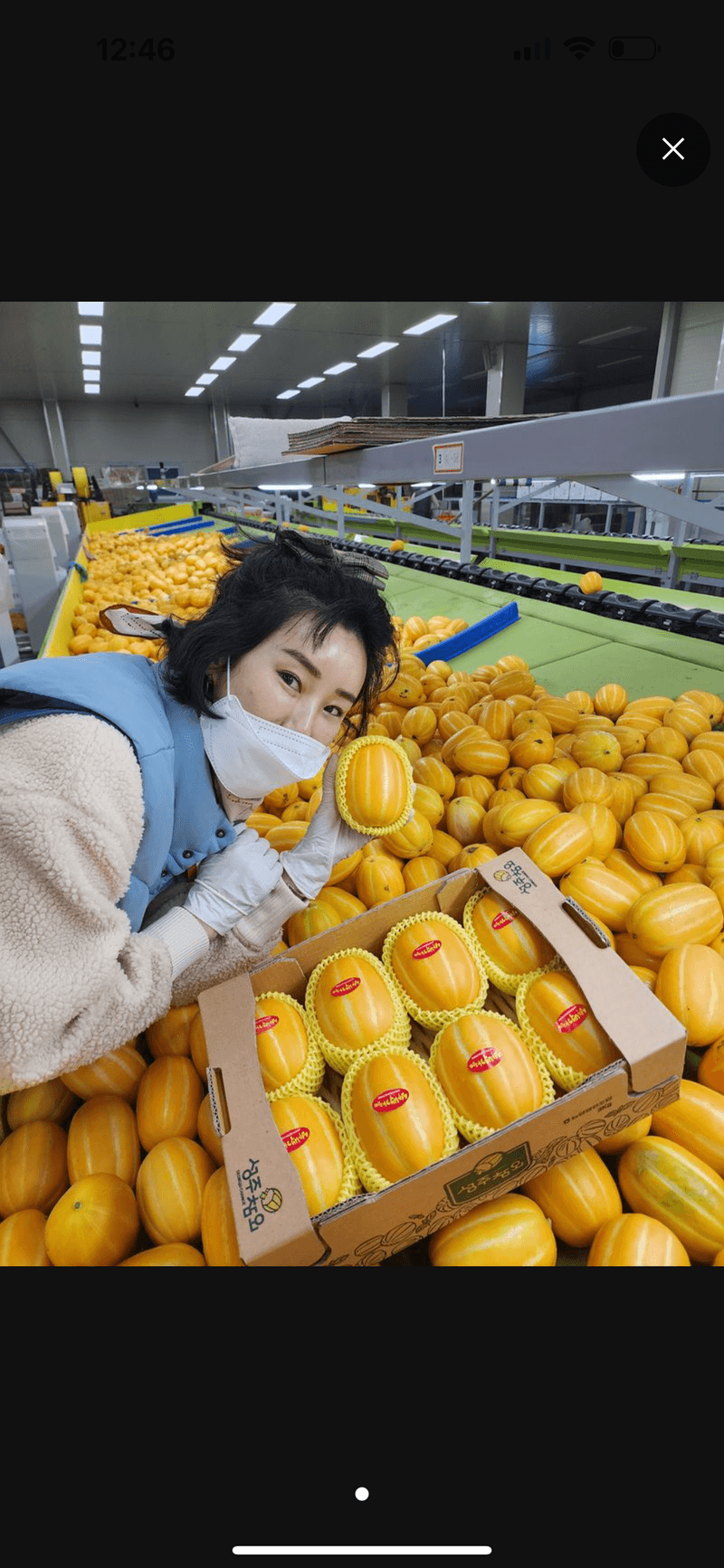 장터 상품 [성주백가참외 3kg 가정용] 썸네일