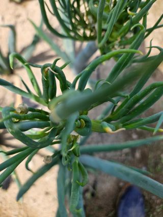 법선님의 작성글 사진